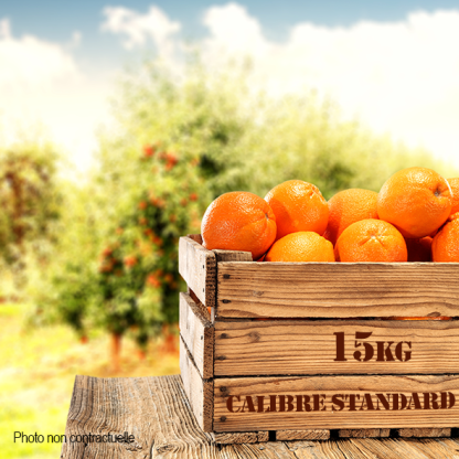 Oranges Bio de Sicile - Navel 15kg